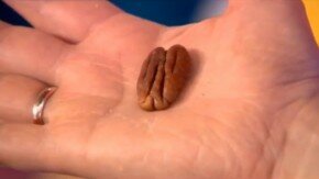 Грецкие орехи – не только для мозга, но и для сердца
